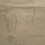 Bean cycle drawing