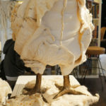 Close up of a chicken in progress