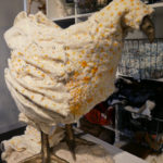 Close up of a yellow and white chicken