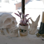 An evil eye mug from Sweet Destructor turned into a planter.