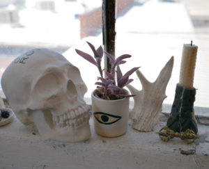 An evil eye mug from Sweet Destructor turned into a planter.