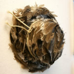 A piece of feathered art hangs on Jillian's wall.